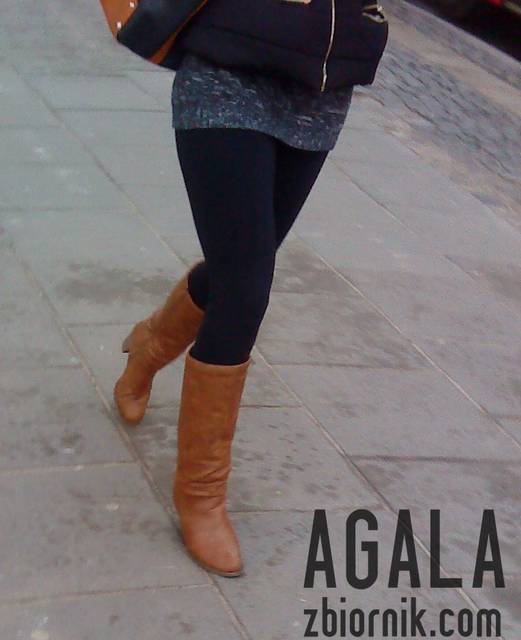 DSC06349L.jpg - AGALA