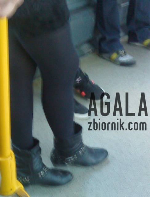 DSC06342cz.jpg - AGALA