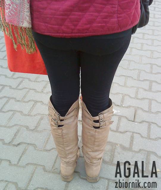 DSC06337L.jpg - AGALA