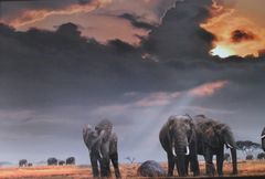 niech przyniosą szczęście