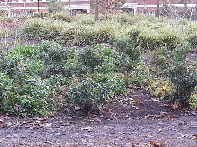 20140108_121220.jpg - josef1975