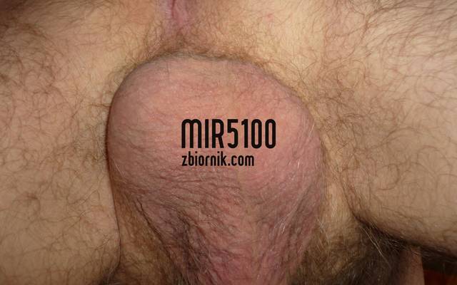 P1030274.JPG - mir5100