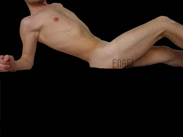 I333333A3.JPG - engel