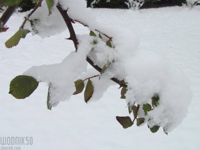 zima.....na jak długo? - wodnik50