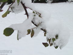 zima.....na jak długo?