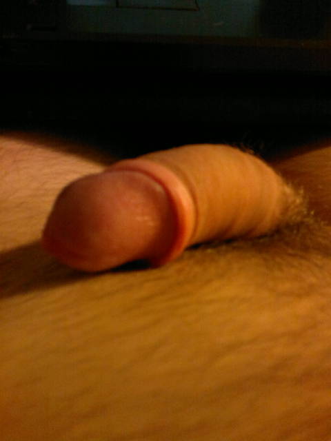 prowokuje - brush5791