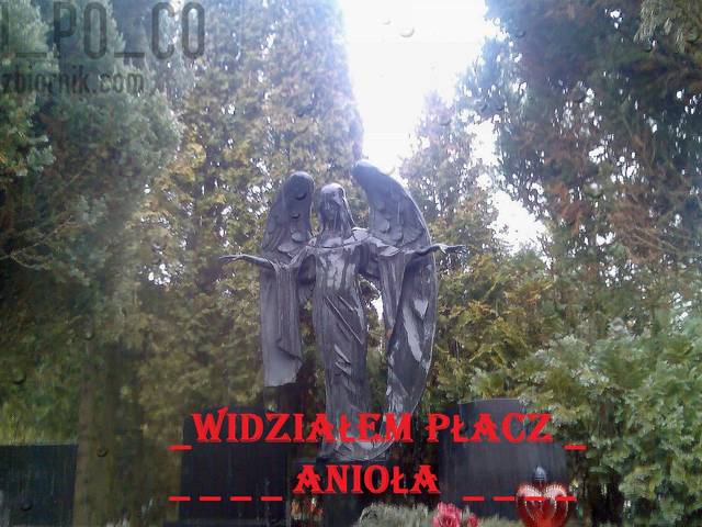 ANIOŁ - i_po_co