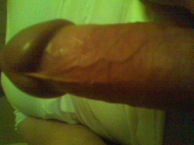 Image03.jpg - hmmmluc631