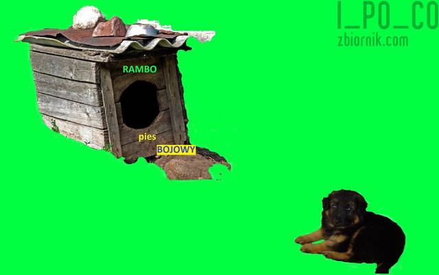 RAMBO - i_po_co
