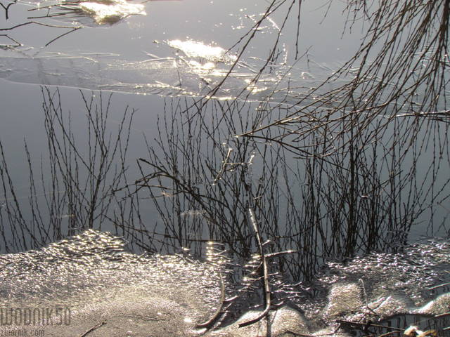 schyłek zimy - wodnik50