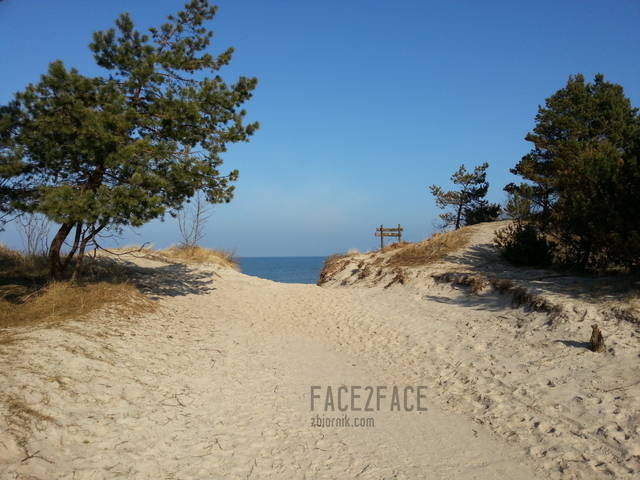 Rowy czekają :) - face2face