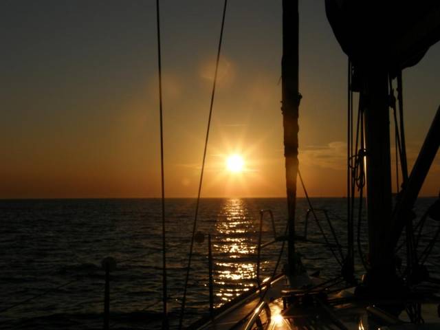 P8191284.JPG - Ja175