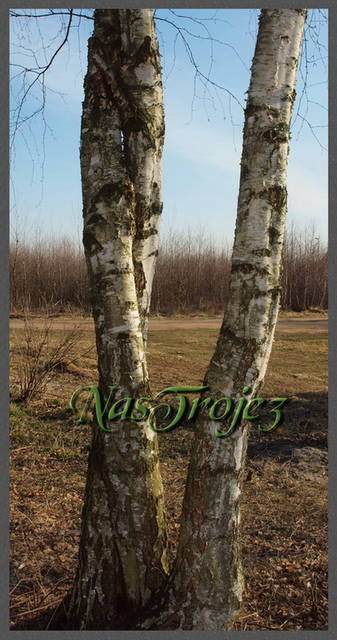 NasTroje - Nastroje3