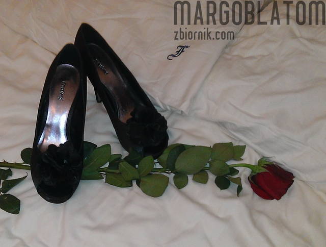 Róża.jpg - margoblatom