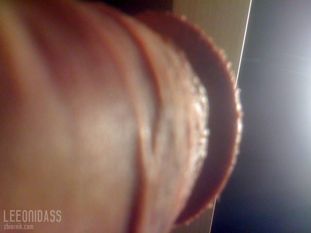 09 - Leeonidass