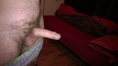 WP_20140321_006.jpg