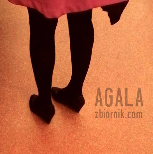 IMG_20140321cz.jpg - AGALA