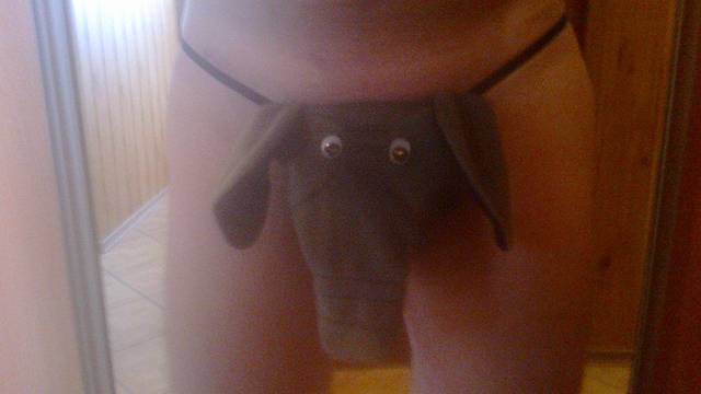 Słonik :D - DeeO123