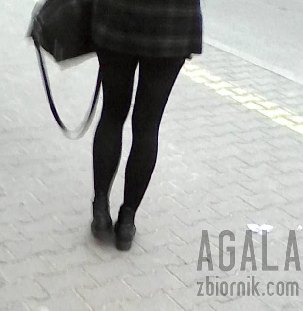 IMG_201403251cz.jpg - AGALA