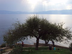 Podróże, podróże...