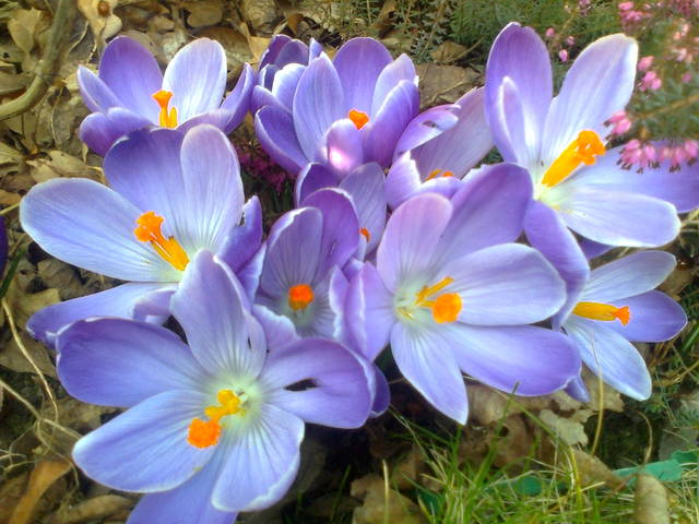 Zdjęcie1840.jpg - ksiezycowa1970