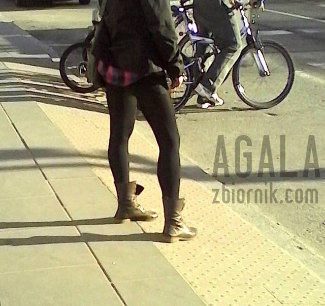 IMG_20140329cz.jpg - AGALA