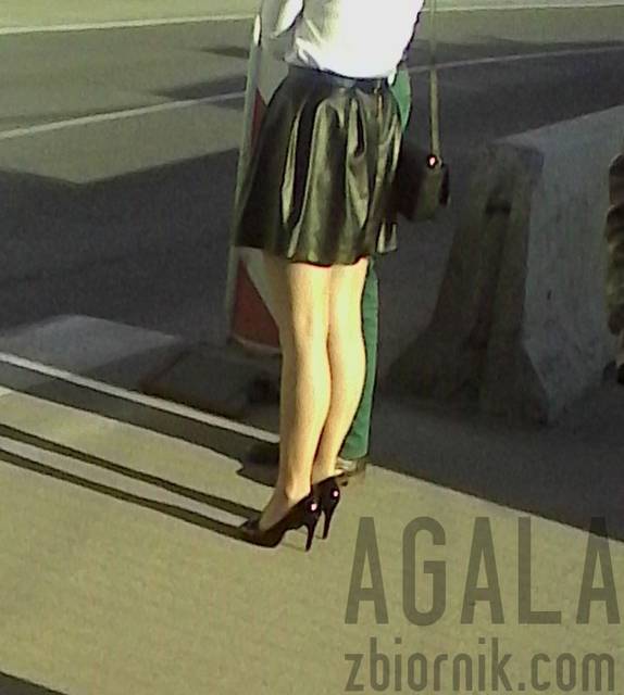 IMG_20140329_16kl.jpg - AGALA