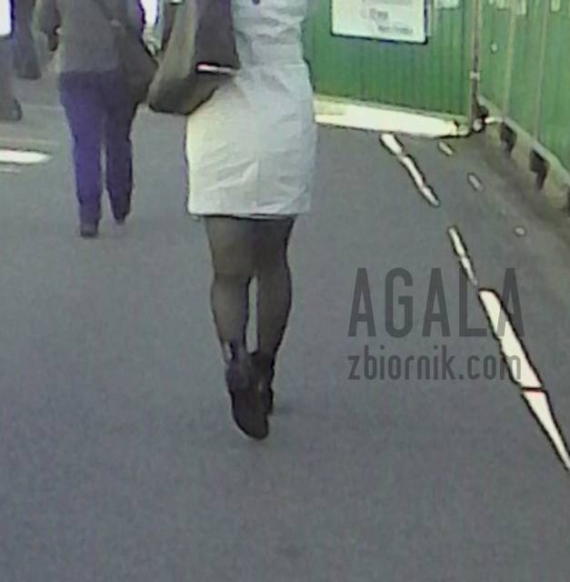 IMG_20140329_5cz.jpg - AGALA