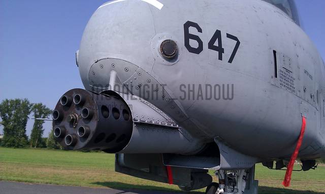 IMAG0063.jpg - moonlight_shadow