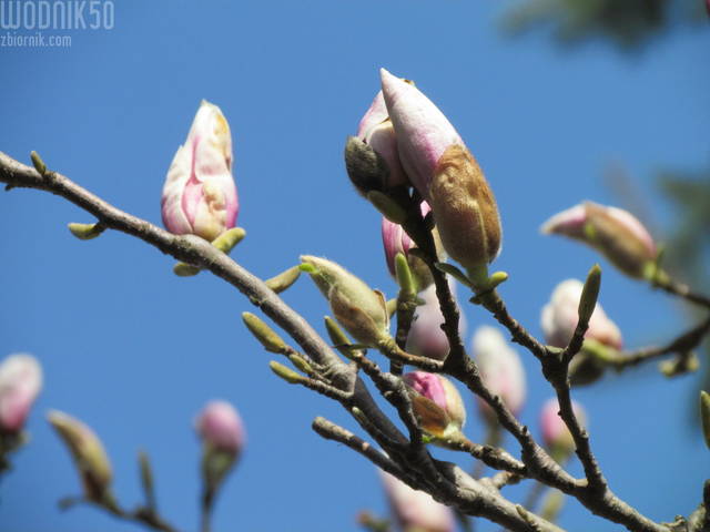 czekamy razem.... - wodnik50