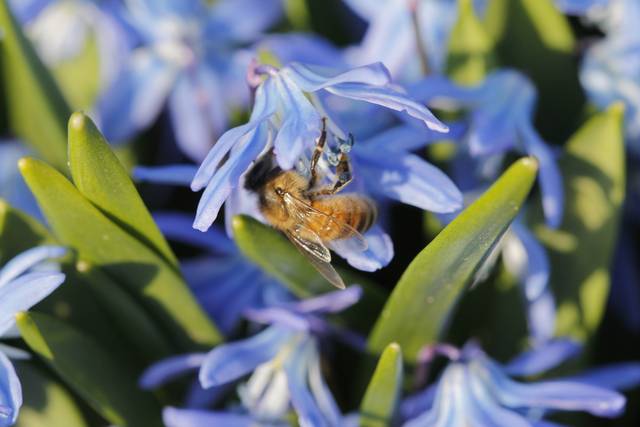 Pobzykamy? - penetrator11