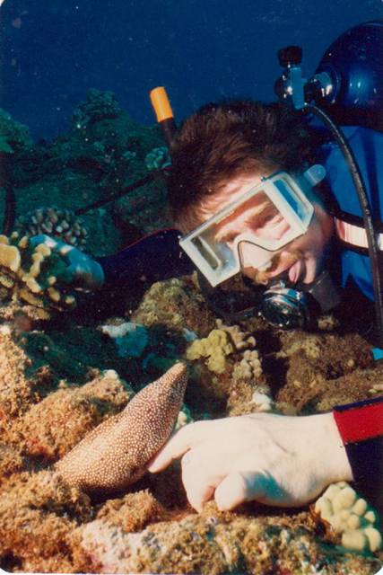 It's a Morey - MewaMeva