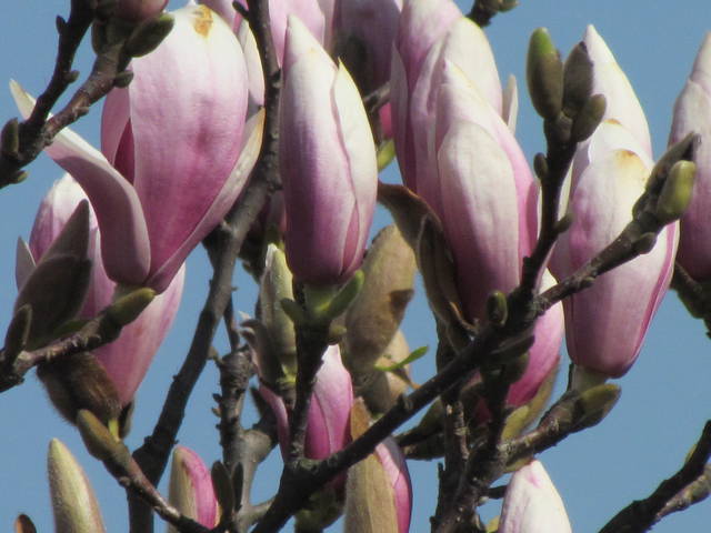 IMG_7653.JPG - wodnik50