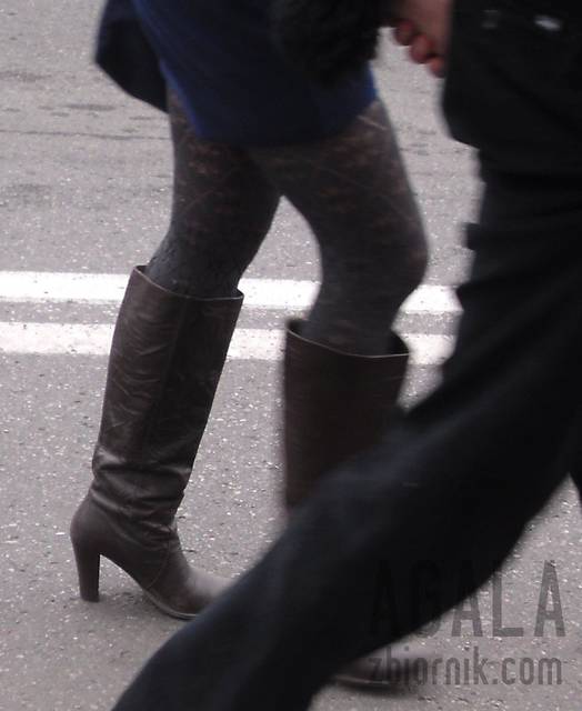 SDC10348v.jpg - AGALA