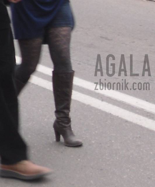 SDC10347odj.jpg - AGALA