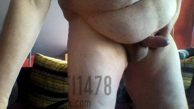 k - alfi1478