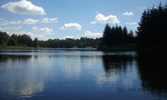 Kajakowa perspektywa