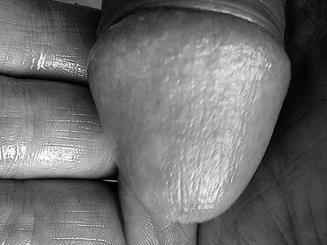 DSC01957.JPG - JJ281