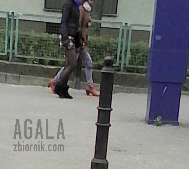 IMG_20140412_160cz.jpg - AGALA