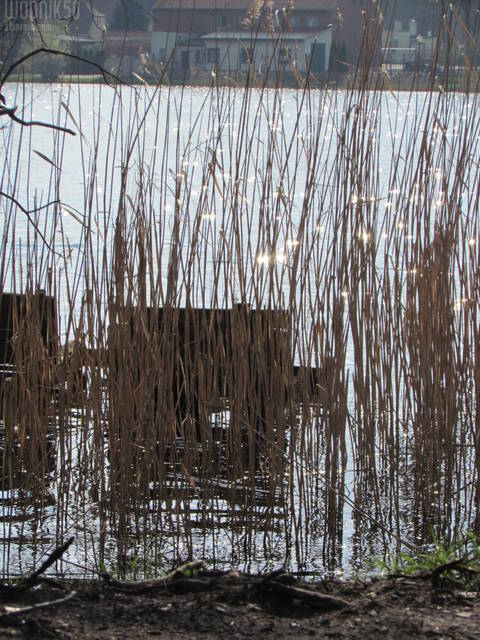 IMG_7815.JPG - wodnik50