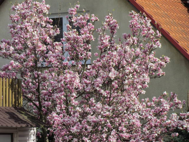 IMG_7843.JPG - wodnik50