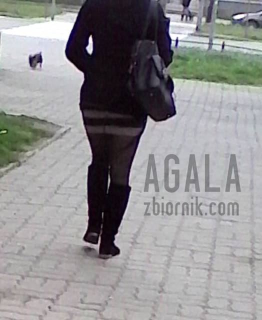 IMG_20140416_111938cz.jpg - AGALA