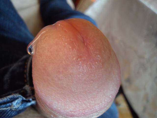 DSC_0021.jpg - wer_1972