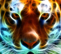 25046_fractal_fractal_tiger.jpg