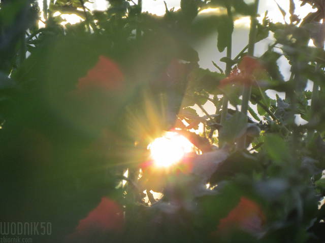 przebłysk.... - wodnik50