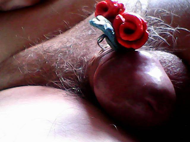 Obraz 094.jpg - czupurek