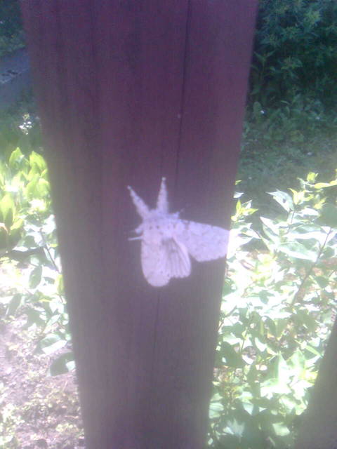 Zdjęcie0019.jpg - lata70