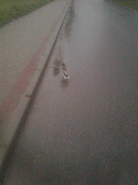 Zdjęcie0011.jpg - lata70