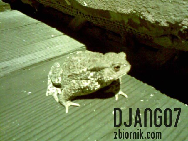 Zdjęcie015.jpg - django7