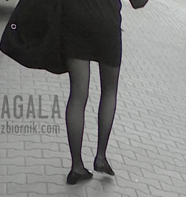 IMG_20140425_140839cz.jpg - AGALA